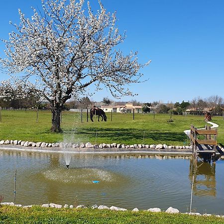 Domaine Christanna Bed & Breakfast Lisle-sur-Tarn Exterior foto