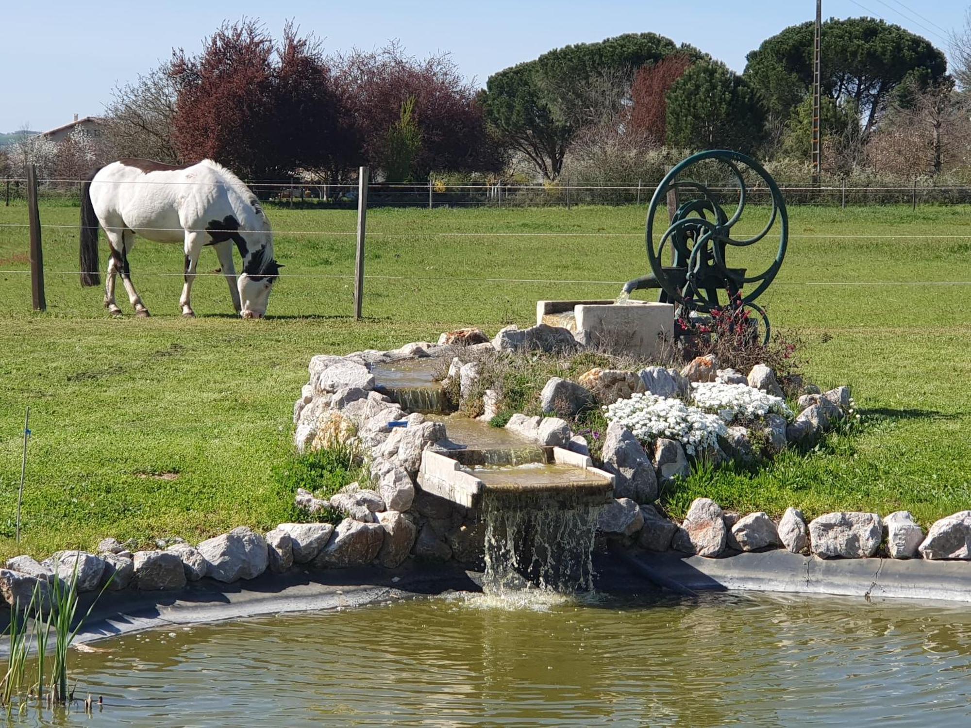 Domaine Christanna Bed & Breakfast Lisle-sur-Tarn Exterior foto