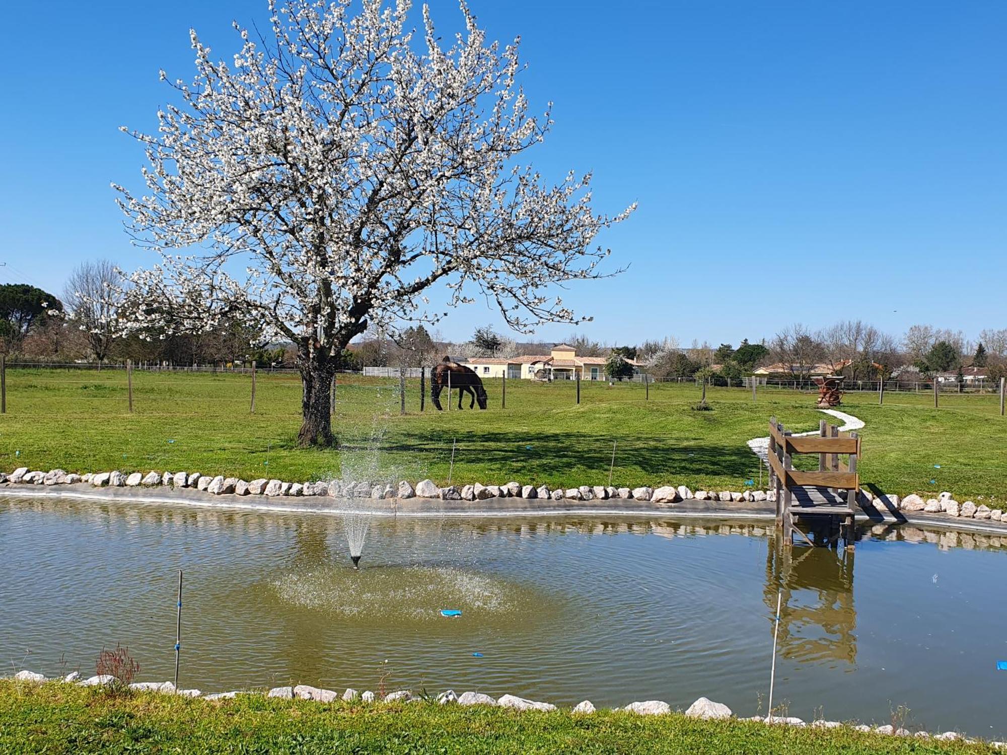 Domaine Christanna Bed & Breakfast Lisle-sur-Tarn Exterior foto